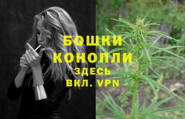 spice Весьегонск