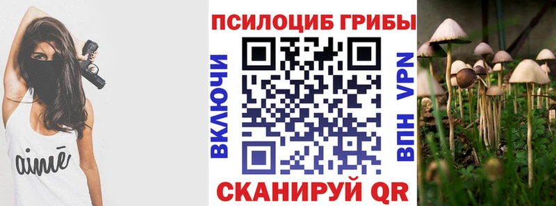 Псилоцибиновые грибы Psilocybe  Данков 